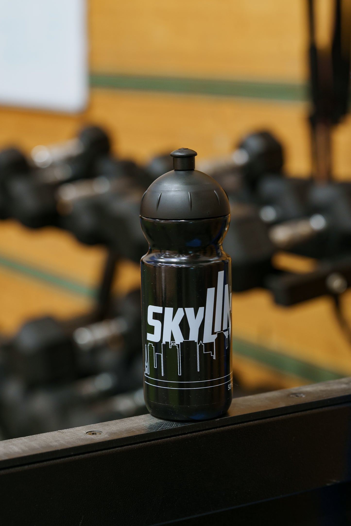 Bio Fitness-Trinkflasche SKYLINERS